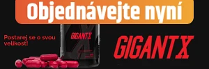 Banner gigantx.cz